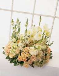 Delicate Pastel Planter Delicate Pastel Planter