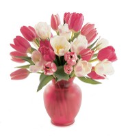 Vased Tulips Vased Tulips