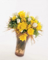 Tulip Vase Tulip Vase