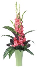 Glorious Gladiolas Vase Glorious Gladiolas Vase