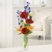 Gerbera Greetings Gerbera Greetings