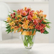 Blooms of Peruvian Lilies Blooms of Peruvian Lilies