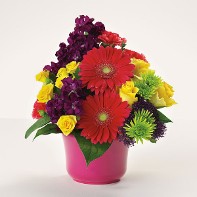 Lovely Birthday Mix Lovely Birthday Mix