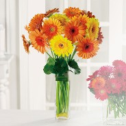 Cheerful Gerbera Daisy Vase Cheerful Gerbera Daisy Vase