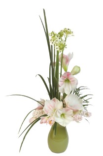 Amarillis Vase Seasonal When Available Amarillis Vase Seasonal When Available