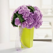 Get Well Pave Carnations in Geometric Vase Get Well Pave Carnations in Geometric Vase