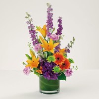 Bright and Bold Get Well Beauty in a Cylinder Bright and Bold Get Well Beauty in a Cylinder