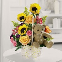 Basket of Cheer with Teddy Basket of Cheer with Teddy