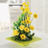 Garden of Sunshine Get Well Garden of Sunshine Get Well