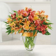 Awesome Alstromeria Get Well Vase Awesome Alstromeria Get Well Vase