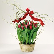 Red Tulip Basket with Willow and Bow