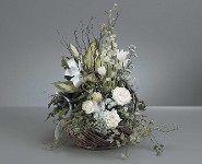 A Garden with Peaceful Whites