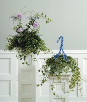 Plant with Three Picked Roses or Hanging Plant