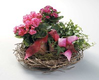A Lovely Nested Garden
