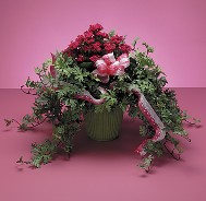 Ivy and Blooming Kalancho