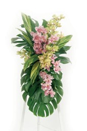 Tropical Orchid Tribute Spray