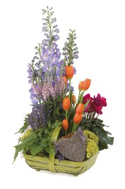 Basket of Sentiment