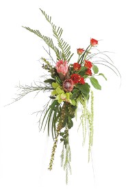 Tropical Paradise Spray