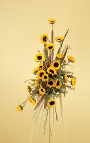 CTT38-11 Sunflower Spray