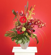 Tropical Paradise Vase Arrangement w/ Cymbidium Orchids