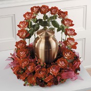 Bi-Color Hybrid Rose Shelter