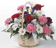 Mixed Baby Basket w/ Pink or Blue Carnations