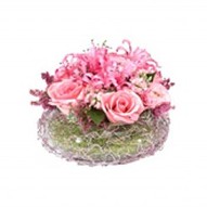 Pink Artistry Pink Artistry