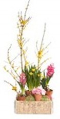 Flower Garden Flower Garden