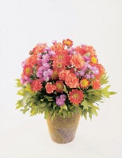 Mixed Pot