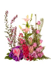 Vertical Garden Arrangement