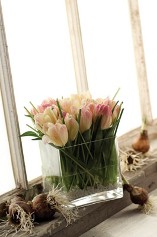 Geometric Vase w/ Tulips