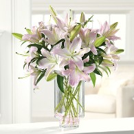 Lots of Lilies in Clear Cylinder Vase