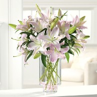 Lots of Lilies in Clear Cylinder Vase Lots of Lilies in Clear Cylinder Vase