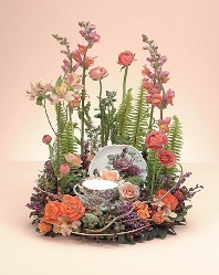 Cup and Saucer Garden