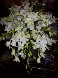 Flower Arrangement 3