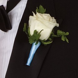 White Rose White Rose