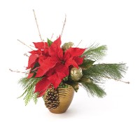 Poinsettia in Holiday Ceramic Pot Poinsettia in Holiday Ceramic Pot