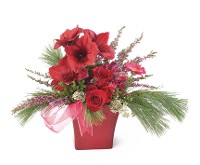 Red Elegance Red Elegance
