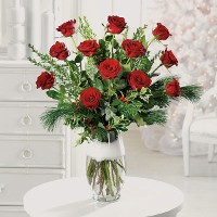 A Dozen Long Stem Roses w/ Winter Snow A Dozen Long Stem Roses w/ Winter Snow