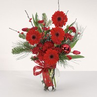 Red Gerbera Daisies Carnations and Tulips w/ Winter Greenery and Holiday Accents in a Glass Urn Red Gerbera Daisies Carnations and Tulips w/ Winter Greenery and Holiday Accents in a Glass Urn