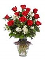Long Stem Roses and Stock Vase